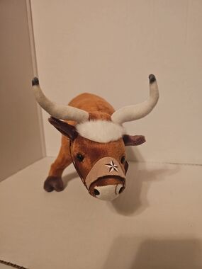  Texas Longhorn steer, featuring distinctive long horns, a nose harness